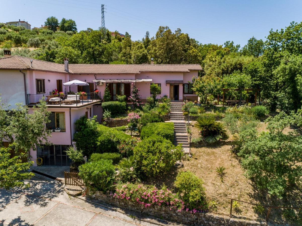 B&B Albachiara Casa Di Campagna オリアストロ・チレント エクステリア 写真