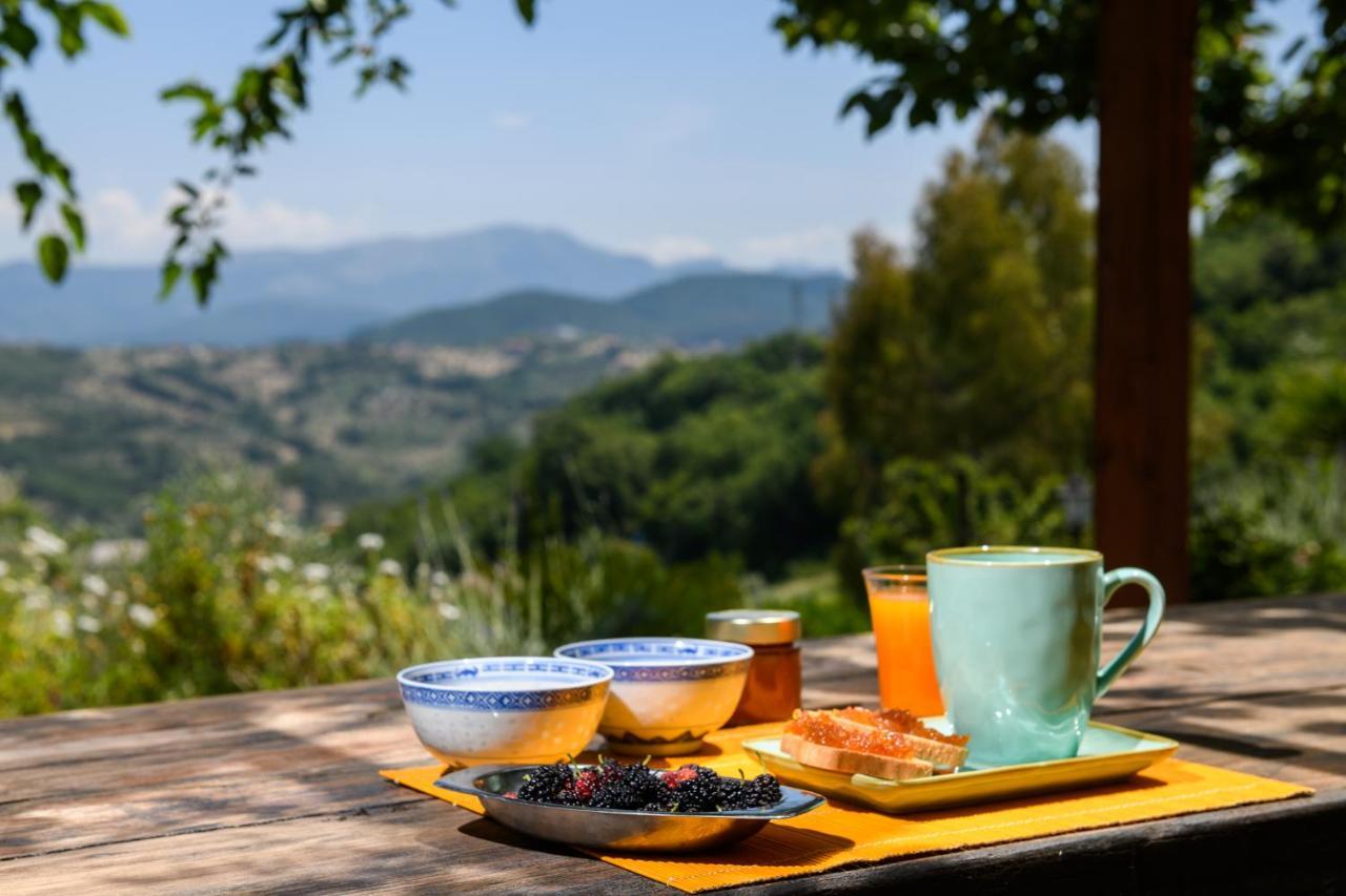 B&B Albachiara Casa Di Campagna オリアストロ・チレント エクステリア 写真