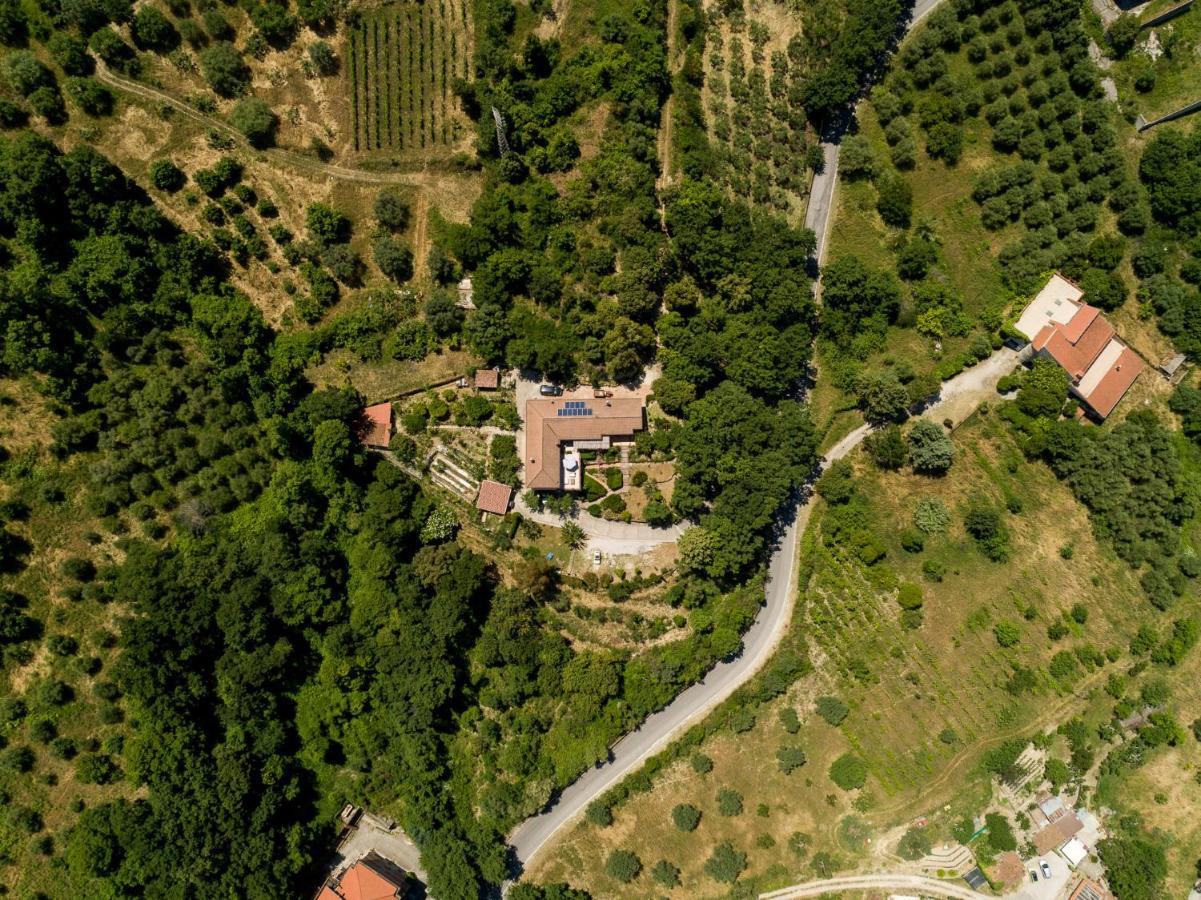 B&B Albachiara Casa Di Campagna オリアストロ・チレント エクステリア 写真