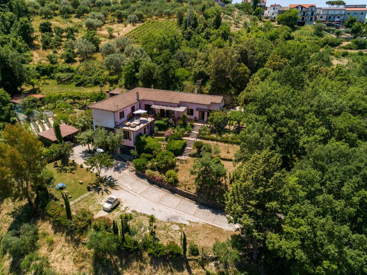 B&B Albachiara Casa Di Campagna オリアストロ・チレント エクステリア 写真