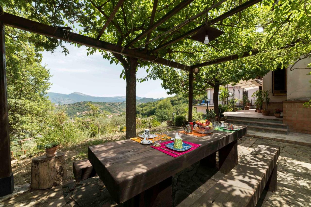 B&B Albachiara Casa Di Campagna オリアストロ・チレント エクステリア 写真